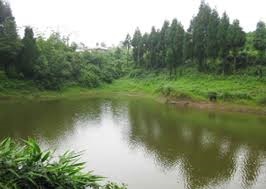 जलस्रोत संरक्षणसँगै पर्यटन प्रवर्द्धन थलथले पोखरी नयाँ गन्तव्य