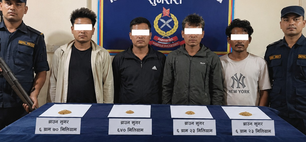 झापा, मोरङ र सुनसरीबाट ब्राउन सुगरसहित चार पक्राउ