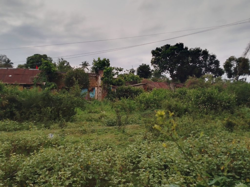 “अस्तित्व जोगाउने सङ्घर्षमा विराटनगर जुटमिल: एउटा दुःखद फोटो कथा”