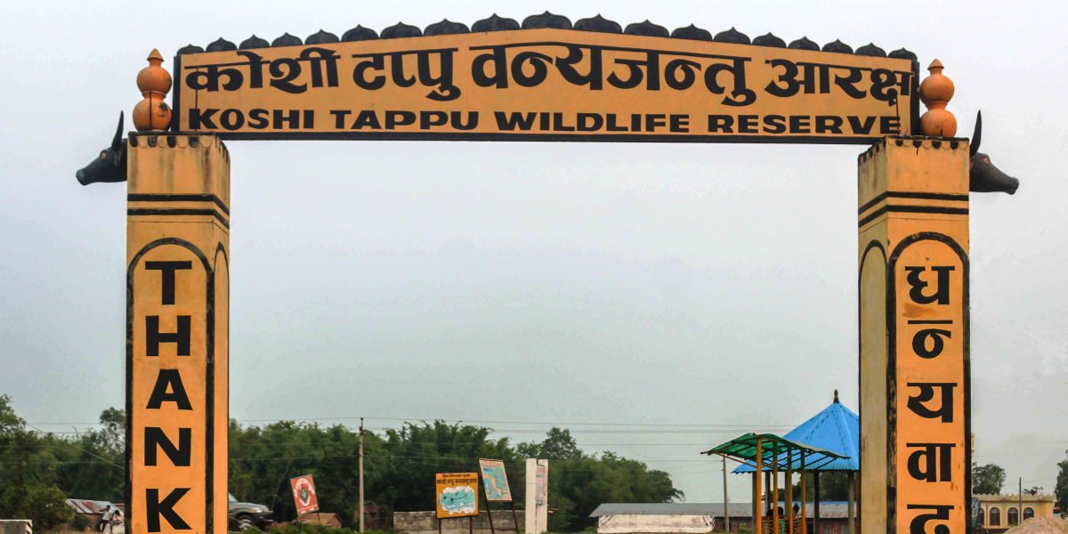 एक वर्षमा ११ हजार बढी पर्यटक पुगे कोशी टप्पु