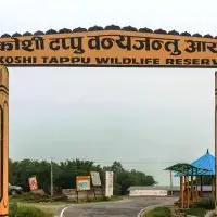 कोशीटप्पुमा जेठसम्म ९ हजारभन्दा बढी पर्यटकको भ्रमण