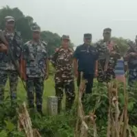 नेपाल–भारत सीमा स्तम्भ मर्मतमा सहमति, दशगजामा लगाइएका चियाका बोटसमेत हटाइयो