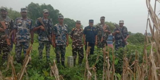 नेपाल–भारत सीमा स्तम्भ मर्मतमा सहमति, दशगजामा लगाइएका चियाका बोटसमेत हटाइयो