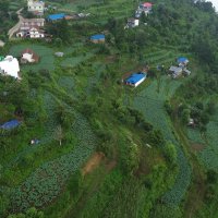 तरकारीको ‘हब’ बन्दै डाँडाबजार
