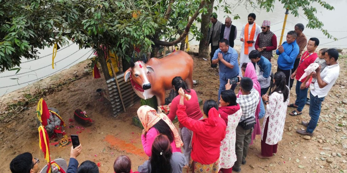 पञ्चकन्या मन्दिरमा गौ माता शिलामूर्ति अनावरण