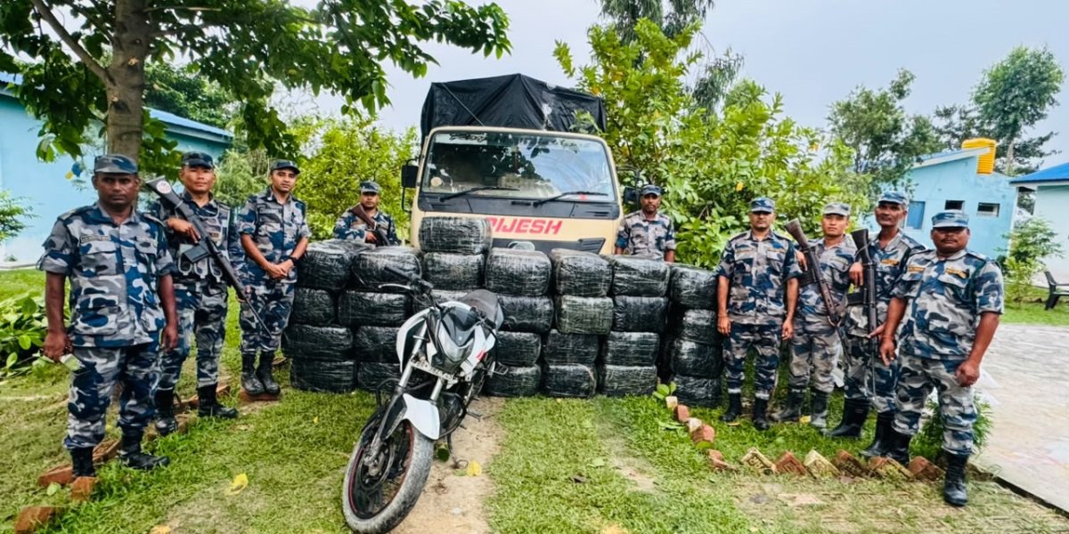 मोरङमा पिकअपभित्र ९२२ किलो गाँजा बरामद