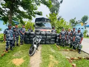 मोरङमा पिकअपभित्र ९२२ किलो गाँजा बरामद