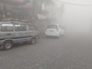 गर्मी छल्न कोशीका पहाडमा भारतीय पाहुनाको धुइरो