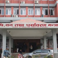 सुदूपश्चिम प्रदेशका २६ पालिकाले उठाएनन् रासायनिक मल, तुरुन्त नलगे डिपोबाटै बिक्री गरिने चेतावनी