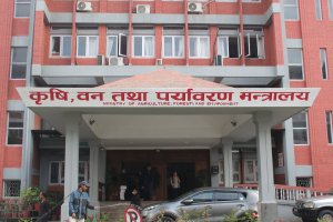 सुदूपश्चिम प्रदेशका २६ पालिकाले उठाएनन् रासायनिक मल, तुरुन्त नलगे डिपोबाटै बिक्री गरिने चेतावनी