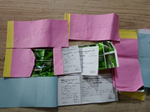 आकर्षक उपहारको प्रलोभन देखाएर चिठ्ठा मार्फत ठगी गर्ने विराटनगरका सुवास राई पक्राउ