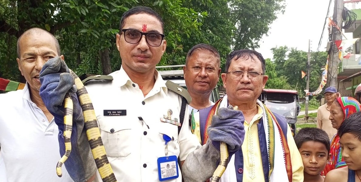 सर्पको उद्धार गरी विराटनगरमा मृत्युदर घटाउँदै शम्भु घिमिरे, वनमा बढ्यो विषालु सर्पको घनत्व