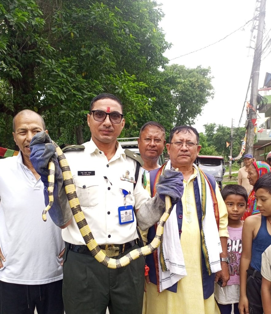 सर्पको उद्धार गरी विराटनगरमा मृत्युदर घटाउँदै शम्भु घिमिरे, वनमा बढ्यो विषालु सर्पको घनत्व