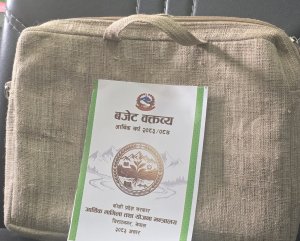 अल्लोको झोलामा कोशीको बजेट