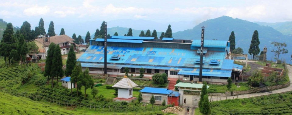 भारतीय अवरोधले नेपाली चिया उद्योग संकटमा, ५३ उद्योग बन्द हुने