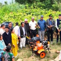 बसाइँसराइले बाँझो बनेको जमिनमा आँपखेती विस्तार, ६ हजार बिरुवा वितरण
