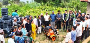 बसाइँसराइले बाँझो बनेको जमिनमा आँपखेती विस्तार, ६ हजार बिरुवा वितरण