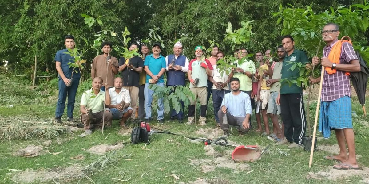 विराटनगरमा नदी संरक्षणसँगै ‘मिनी जंगल’ निर्माण अभियान सुरु, केसलिया खोला किनारमा १६०० बिरुवा रोपिने