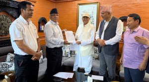तीन बुँदे सहमति: एमाले र नेकपाले लिनुपर्छ चार प्रदेशमा अरुकै सहारा