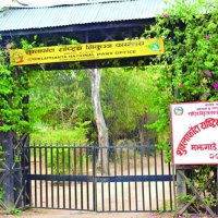 शुक्लाफाँटा राष्ट्रिय निकुञ्जमा च्याउ टिप्न गएका चौध महिला सम्पर्कविहीन