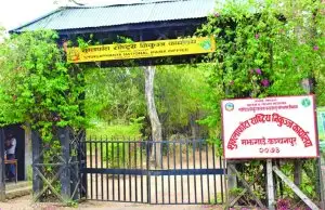 शुक्लाफाँटा राष्ट्रिय निकुञ्जमा च्याउ टिप्न गएका चौध महिला सम्पर्कविहीन