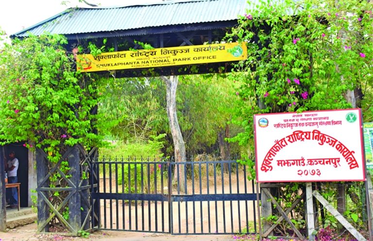 शुक्लाफाँटा राष्ट्रिय निकुञ्जमा च्याउ टिप्न गएका चौध महिला सम्पर्कविहीन