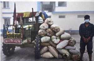 धनकुटामा १७५ किलोभन्दा बढी गाँजासहित ट्याक्टर चालक पक्राउ