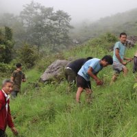 तेह्रथुममा १० हजारभन्दा बढी बिरुवा रोपियो