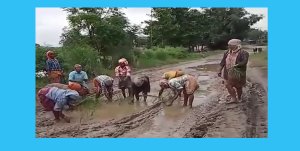 सडकमै धान रोपेर विरोध